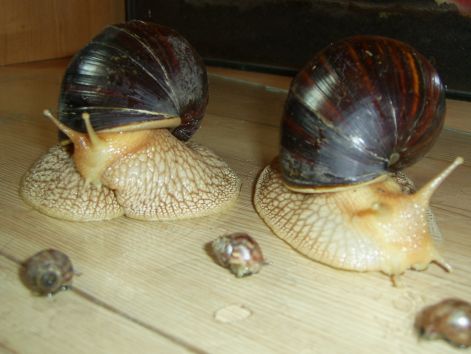 kep_014.jpg kep_014.jpg